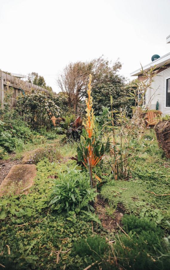 Craypot Cottage พอร์ตแคมป์เบลล์ ภายนอก รูปภาพ